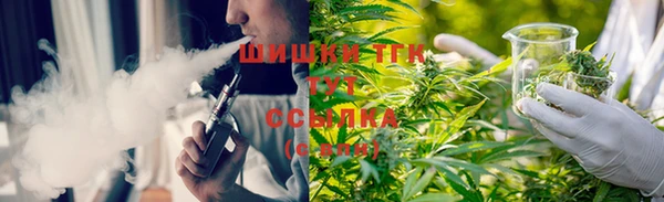 сатива Верхний Тагил