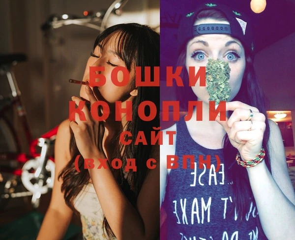 сатива Верхний Тагил