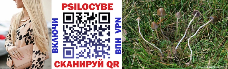 Псилоцибиновые грибы мухоморы Орехово-Зуево